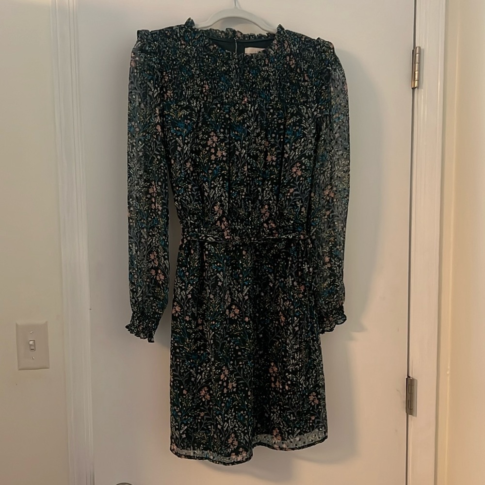 Loft long sleeve dress